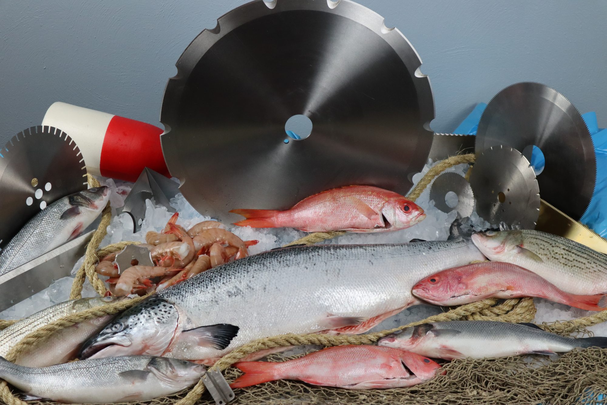 Industrial Machine Blades & Knives For Seafood Processing