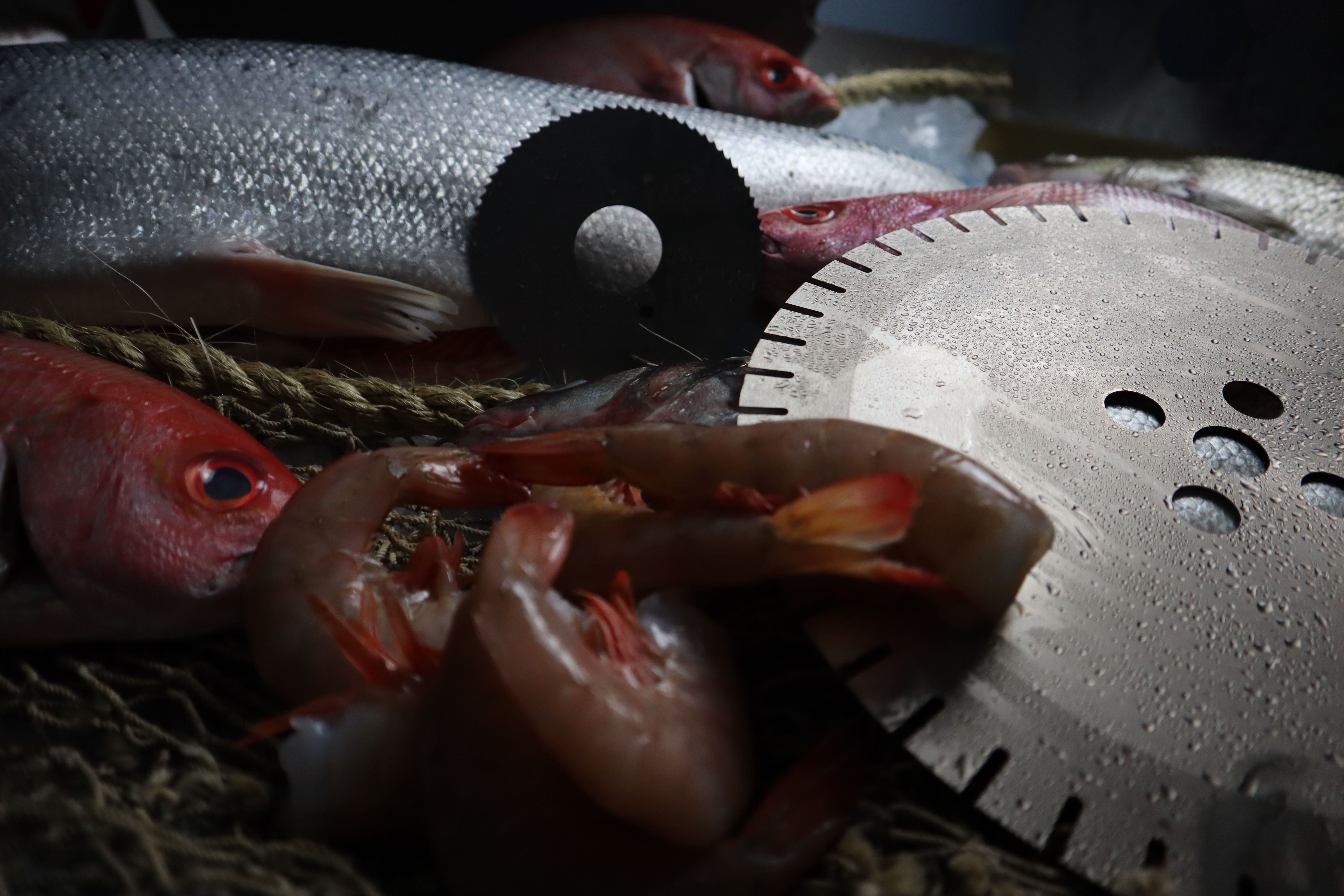 shrimp and fish with seafood processing machine knives