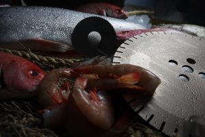 blades for processing fish, shrimp and other seafood